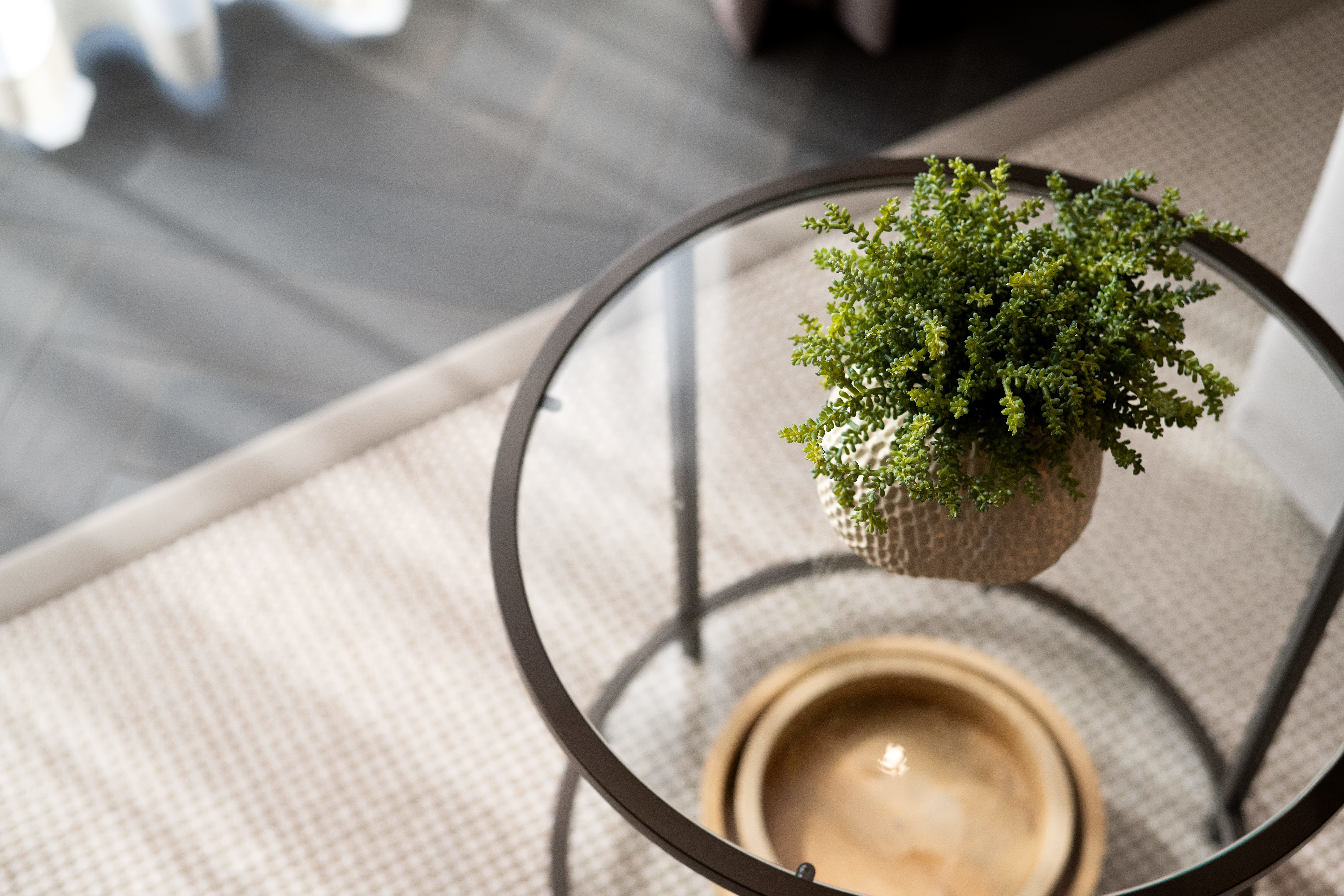 Small leafy green potted plant on a round glass-topped side table with a dark metal frame, a beige textured surface beneath and a blurred ceramic bowl on the lower shelf.